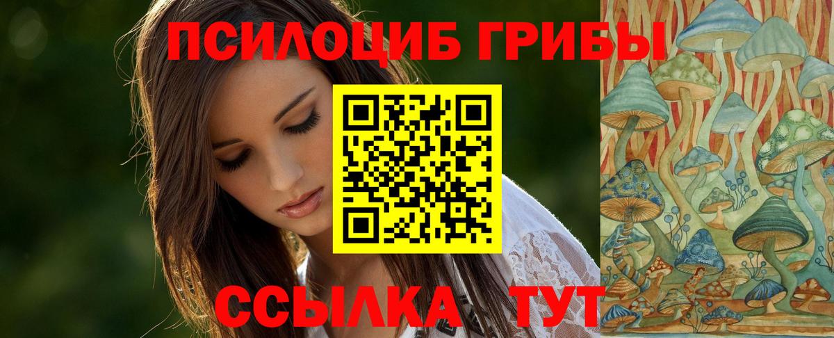 Псилоцибиновые грибы прущие грибы Чебаркуль