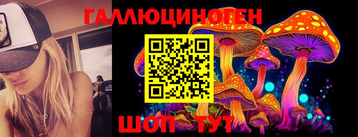 Чебаркуль  Галлюциногенные грибы GOLDEN TEACHER  Вход с VPN 