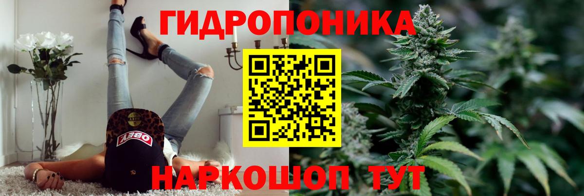 Бошки марихуана гибрид Чебаркуль